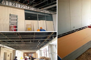 APEC藍天下的室內健康守護 龍牌凈醛石膏板